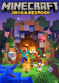 Minecraft Server Basic